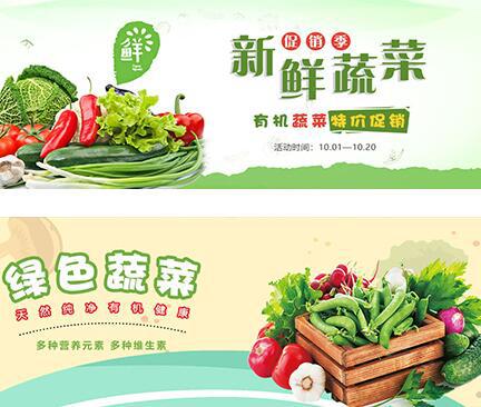 网站banner素材-土豆农业种植基地网站PSD素材包